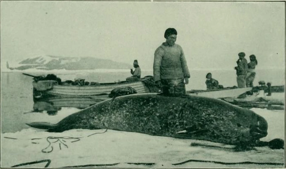 Ινουίτ κάτοικοι της Γροιλανδίας. Φωτό: Wikimedia Commons