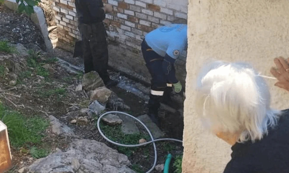 Ταχυδρόμος