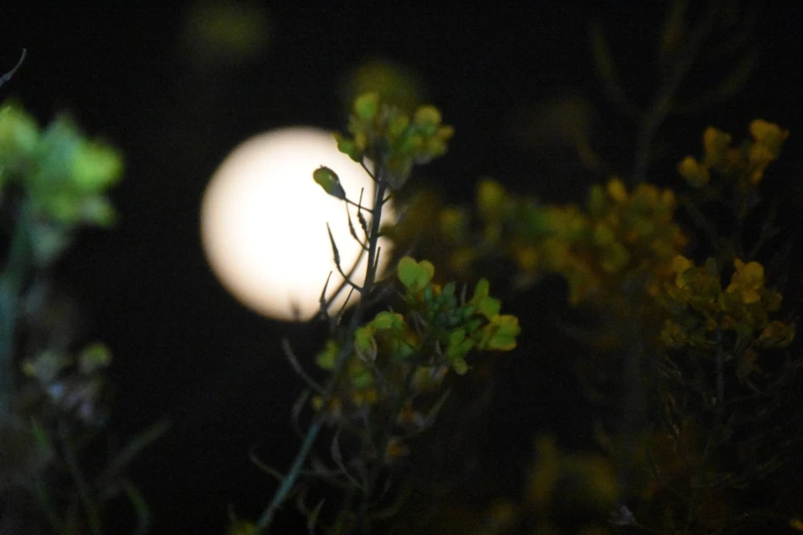 Φωτ.: Eurokinissi