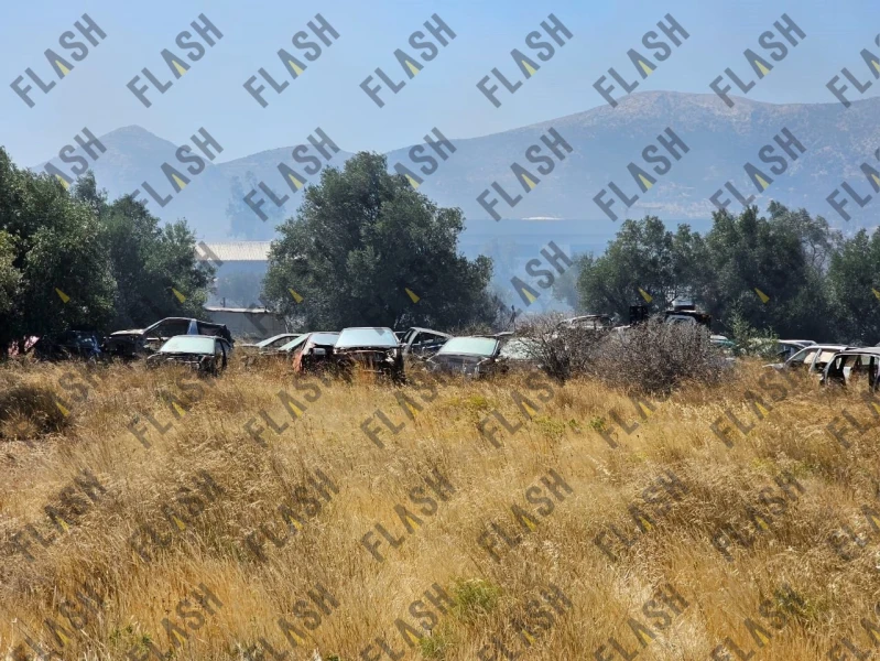 Φωτό: Γιάννης Κέμμος / flash.gr