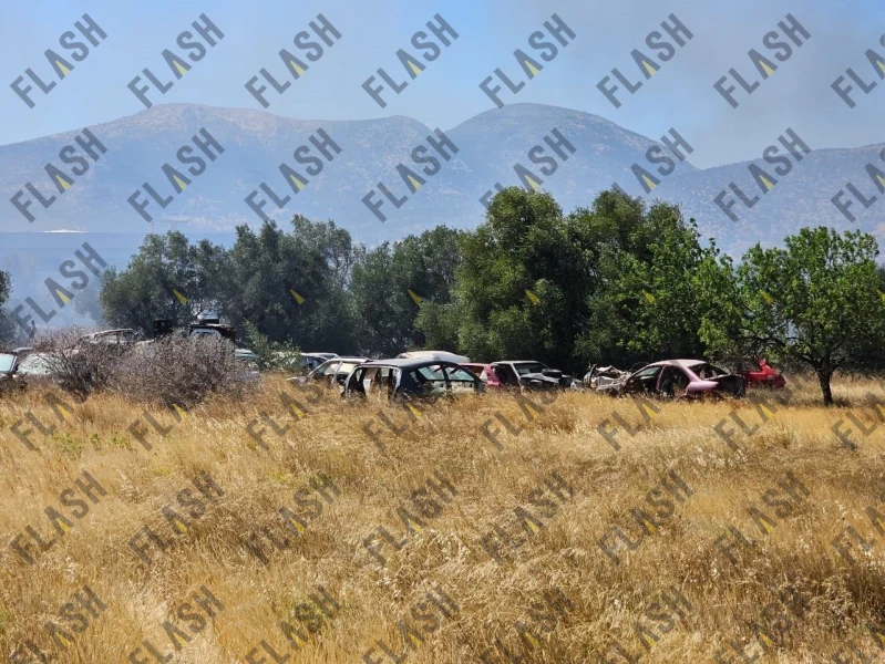 Φωτό: Γιάννης Κέμμος / flash.gr