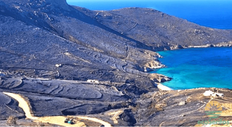 ecoserifos