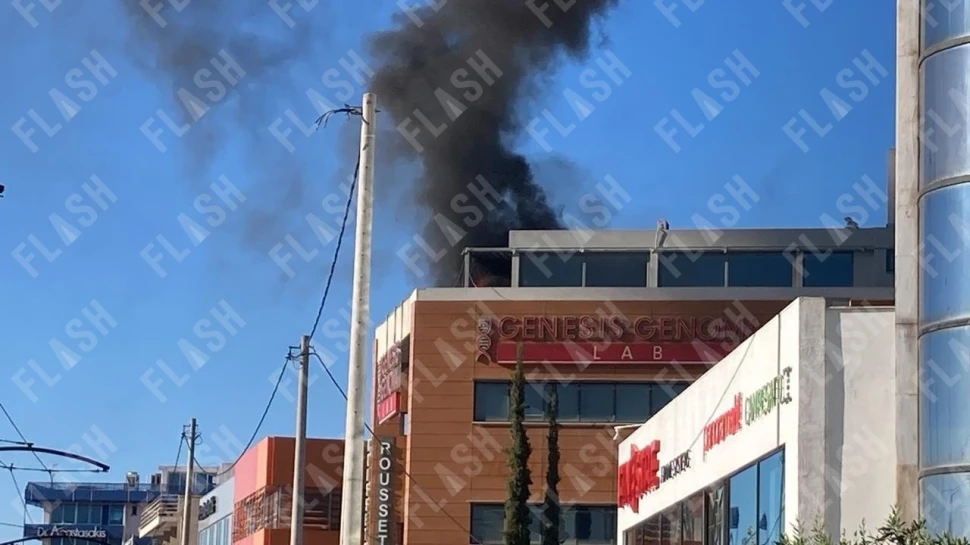 237863af-0902-4441-b8c5-87567bd4e4b0.jpg?v=1