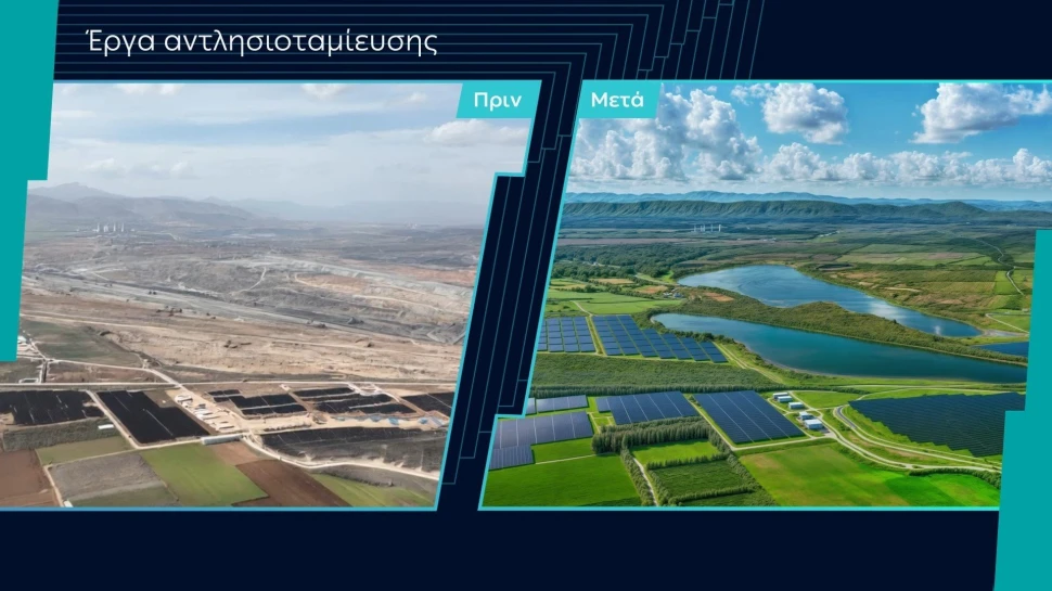 lisiotamiefsi.jpg?v=0