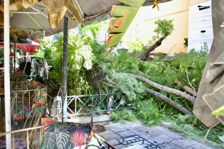 Φωτό: Γιάννης Κέμμος/Flash.gr Φωτό: Γιάννης Κέμμος/Flash.gr