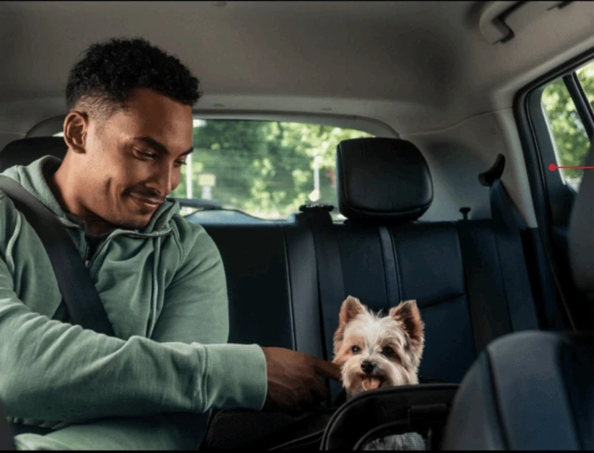 uber-taxipet.jpg?v=0