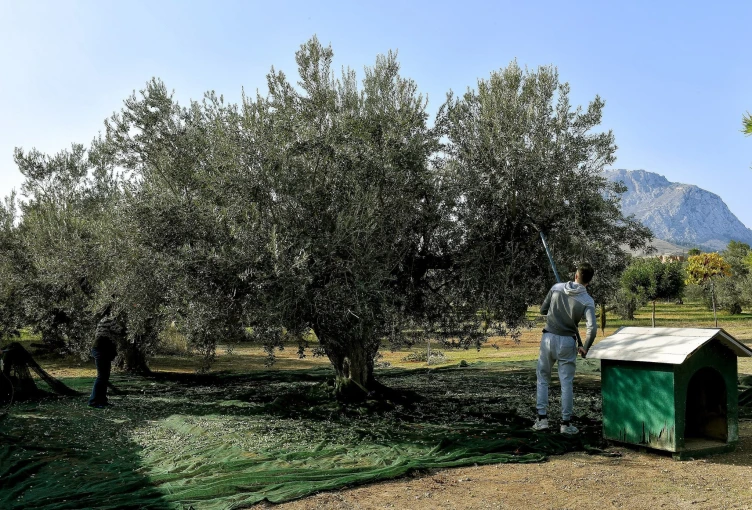          ΦΩΤΟ: INTIME NEWS     