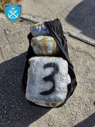 ΛΙΜΕΝΙΚΟ ΣΩΜΑ-ΕΛΛΗΝΙΚΗ ΑΚΤΟΦΥΛΑΚΗ