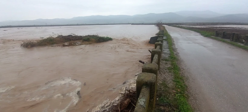 ΑΠΕ-ΜΠΕ (Γιώργος Παλαμιώτης)