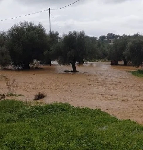 Φωτό: Lakonikos.gr
