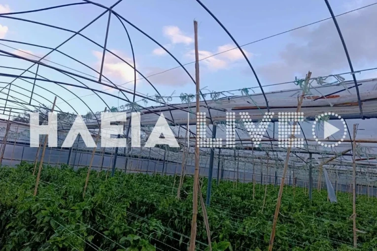 Πηγή: ilialive.gr