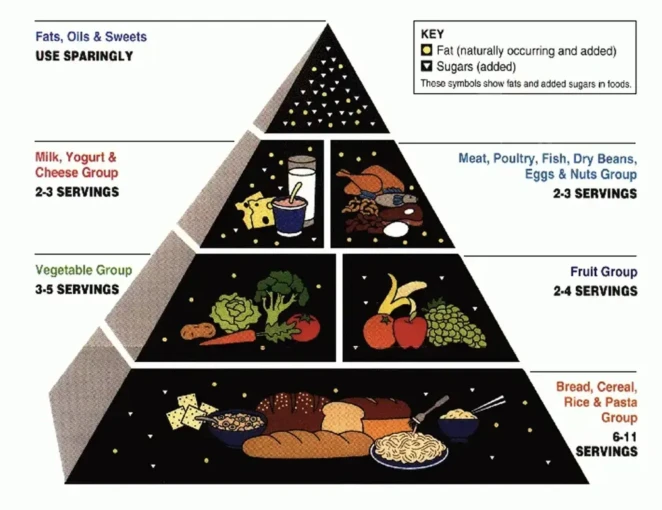 trofiki-pyramida.JPG?v=0