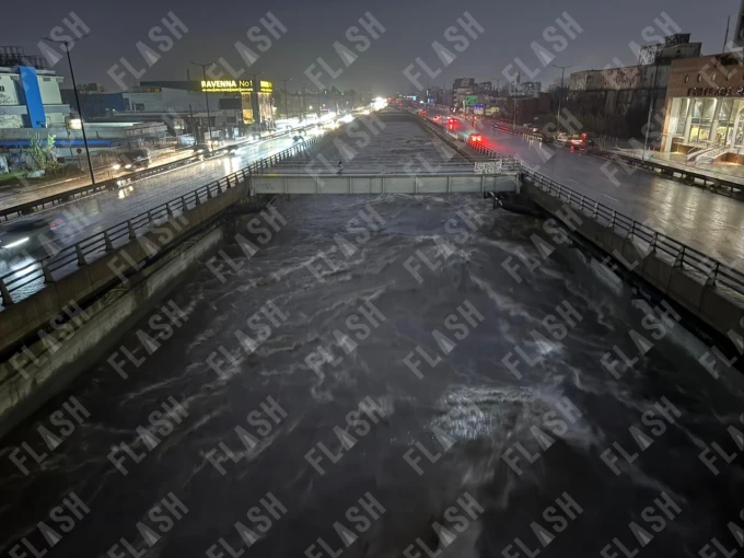 whatsapp-image-2026-01-21-at-175851.jpeg?v=1