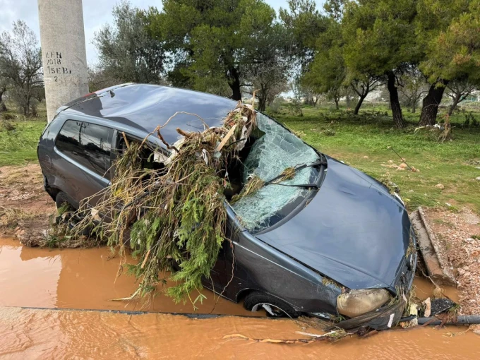 whatsapp-image-2026-01-22-at-115238.jpeg?v=0