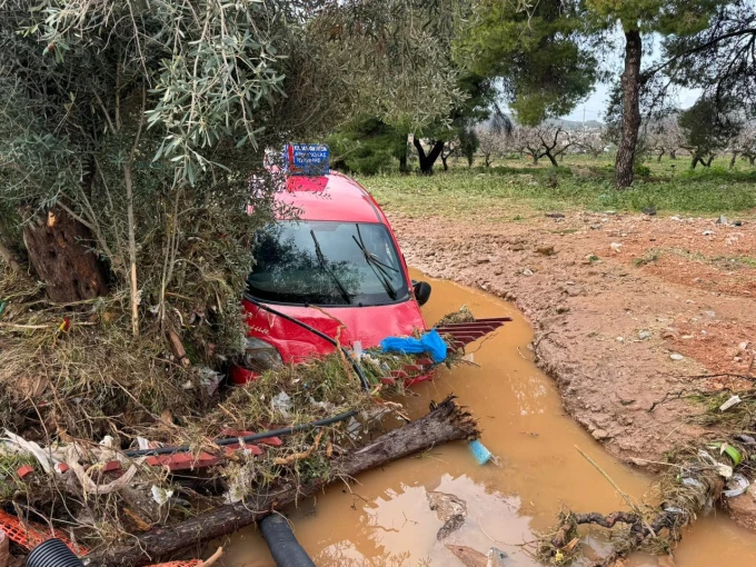 whatsapp-image-2026-01-22-at-115239.jpeg?v=0