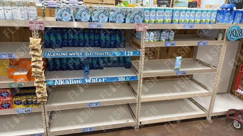 whatsapp-image-2026-01-25-at-180531-1.jpeg?v=1