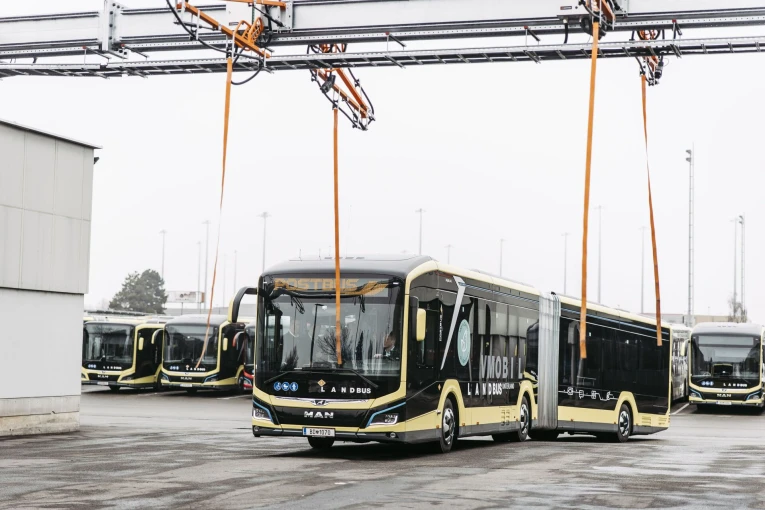 man-ebus.jpg?v=0