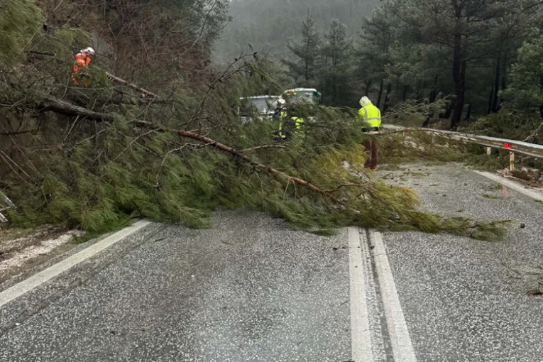 Φωτό: xanthidaily.gr