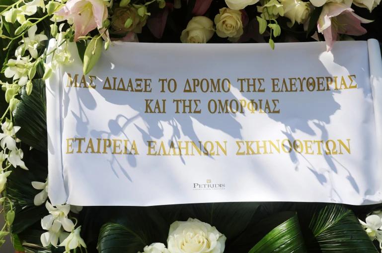 φωτογραφία NDP