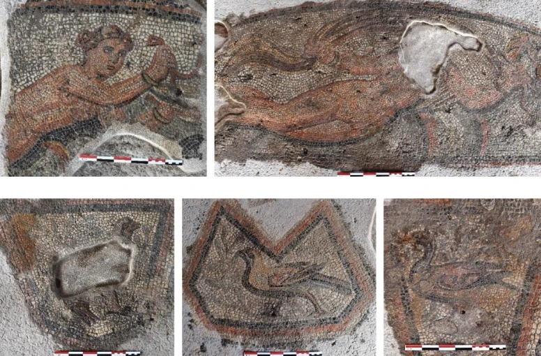 leptomereies-apo-ghinaikies-morfes-kai-ptina-se-diachora-psifidota-dapedoy-tis-aithoysas-3d1085.jpg?v=0