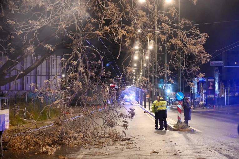 ΠΤΩΣΗ ΔΕΝΔΡΟΥ ΣΤΗΝ ΟΔΟ ΠΕΙΡΑΙΩΣ ΑΠΟ ΤΟΥΣ ΔΥΝΑΤΟΥΣ ΑΝΕΜΟΥΣ ΤΗΣ ΚΑΚΟΚΑΙΡΙΑΣ "ERMINIO" INTIME NEWS / ΧΑΛΚΙΟΠΟΥΛΟΣ ΝΙΚΟΣ
