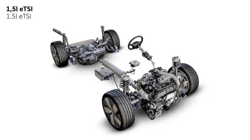 db2025au01813-large.jpg