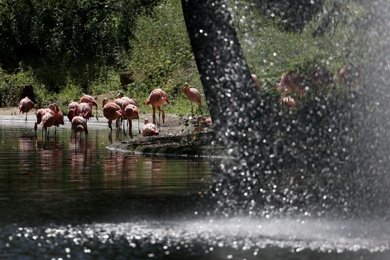 Φωτό: Reuters