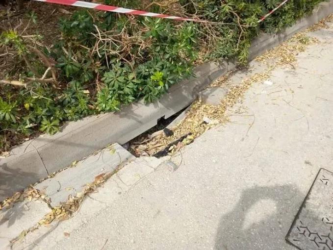 ΦΩΤΟ: Creta news