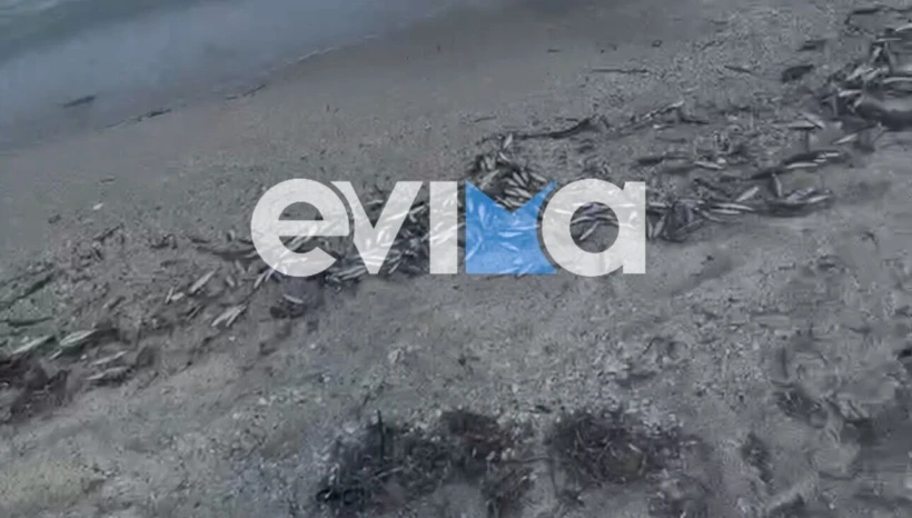 Φωτό: evima.gr Φωτό: evima.gr