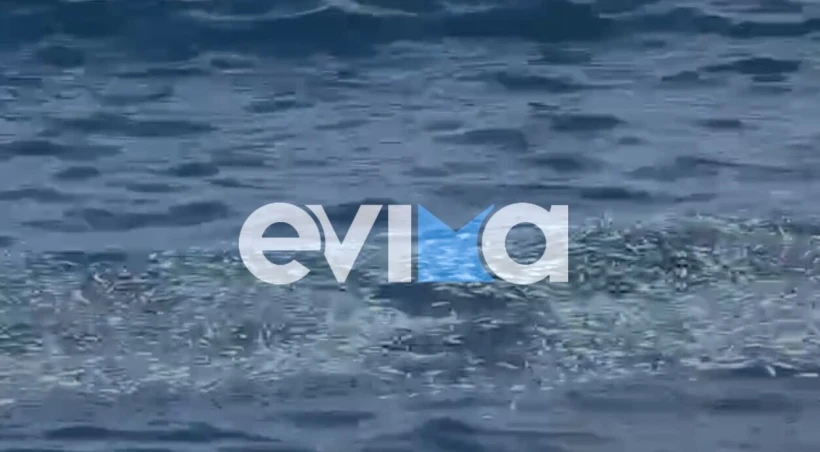Φωτό: evima.gr Φωτό: evima.gr