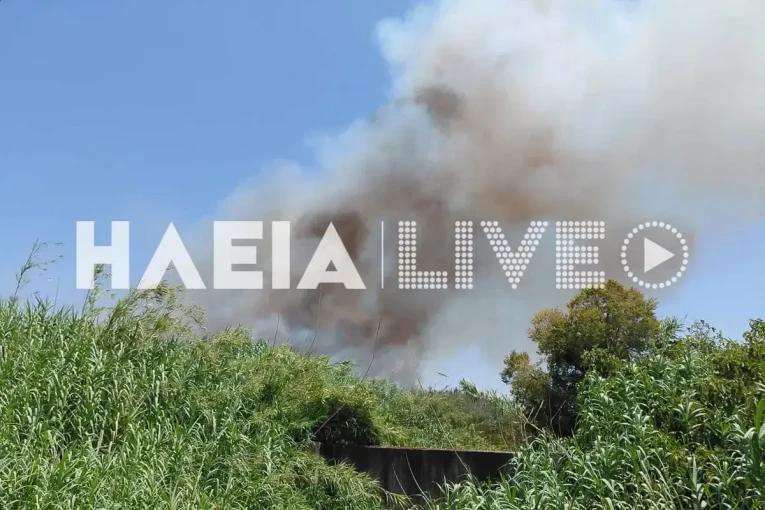 ΗΛΕΙΑ Live