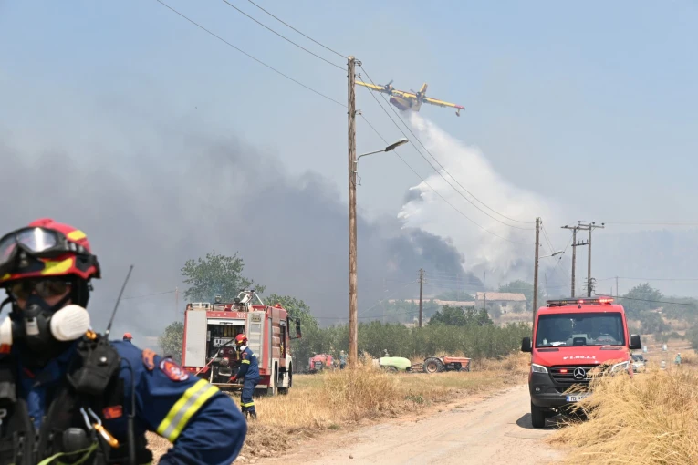 ΥΡΚΑΓΙΑ ΣΤΟ ΦΙΧΤΙ ΑΡΓΟΛΙΔΑΣ (ΒΑΣΙΛΗΣ ΠΑΠΑΔΟΠΟΥΛΟΣ / EUROKINISSI)