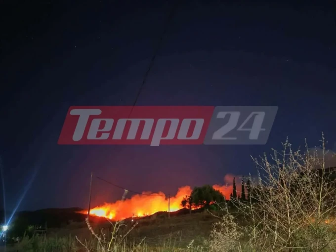          Φωτιά στην Αχαΐα / Φωτ.: tempo24     