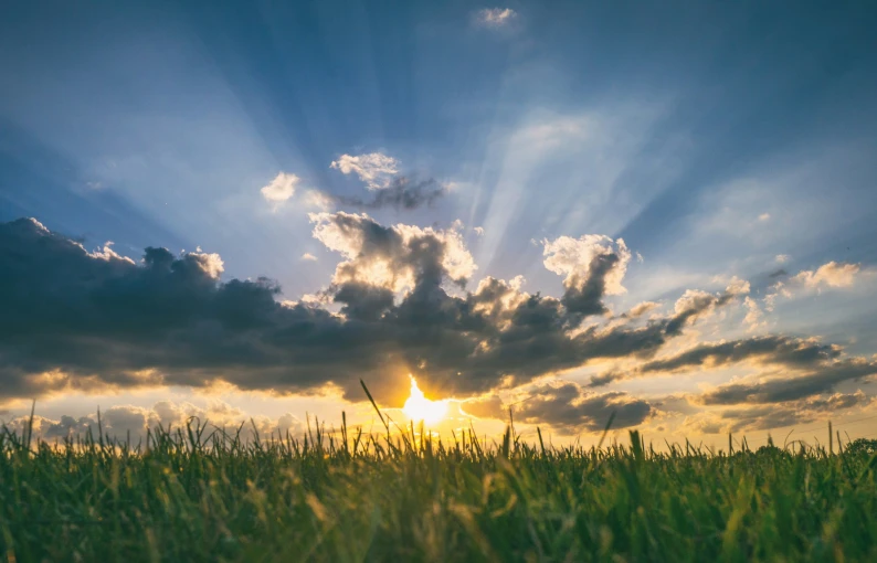 unsplash