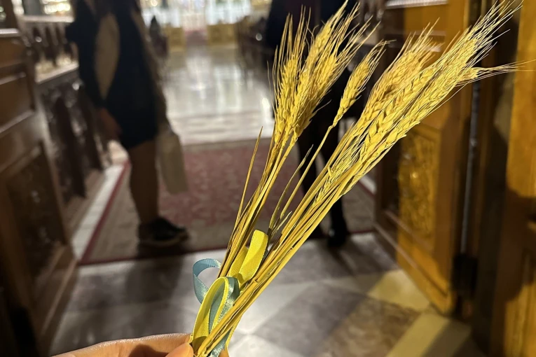 Μπουκετάκια με τρία στάχυα στη μνήμη των θυμάτων του Holodomor στην Ουκρανία/ΑΠΕ