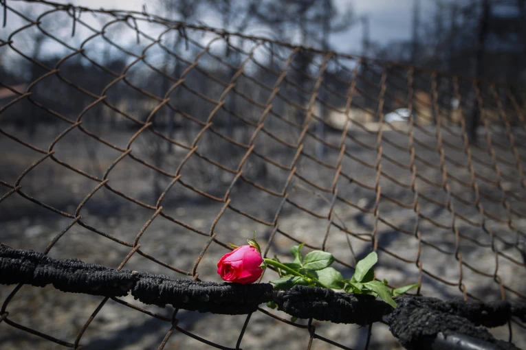 Το οικόπεδο της φρίκης στο Μάτι όπου 26 άνθρωποι εγκλωβίζονται και χάνουν τη ζωή τους / Eurokinissi Το οικόπεδο της φρίκης στο Μάτι όπου 26 άνθρωποι εγκλωβίζονται και χάνουν τη ζωή τους / Eurokinissi