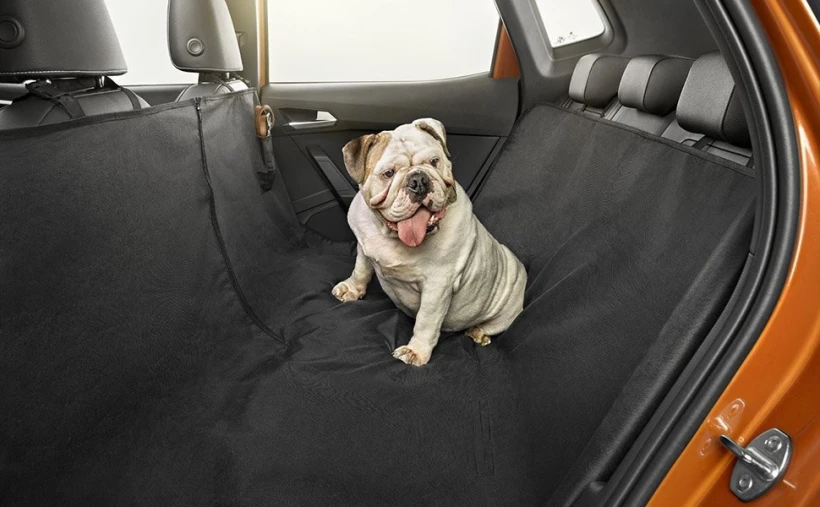 dogtravel3a.jpg?v=0
