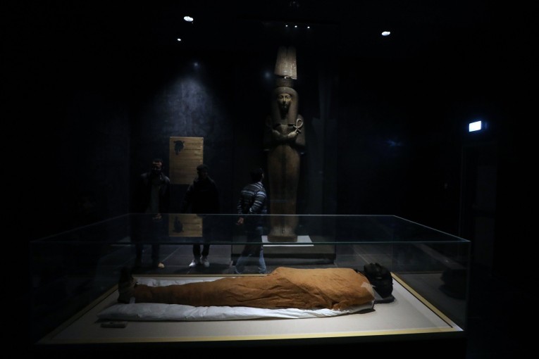 Πρέπει να γυρίσουμε «πίσω στον χρόνο, στην προϊστορία» / Μουσείο Καϊρου ΑΠΕ EPA