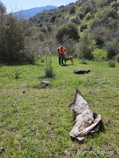Ο.ΦΥ.ΠΕ.Κ.Α. / Δημήτρης Βαβύλης Ο.ΦΥ.ΠΕ.Κ.Α. / Δημήτρης Βαβύλης
