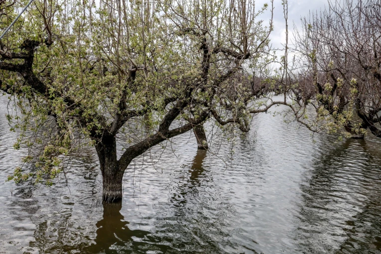 Λίμνη Κάρλα/Eurokinissi Λίμνη Κάρλα/Eurokinissi