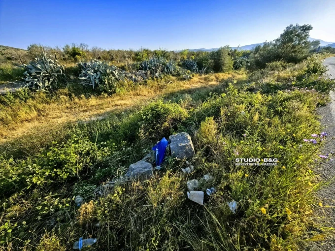 Φωτ.: argolikeseidiseis.gr