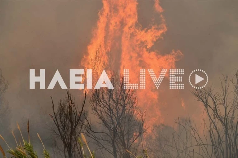 Πηγή: ilialive.gr Πηγή: ilialive.gr