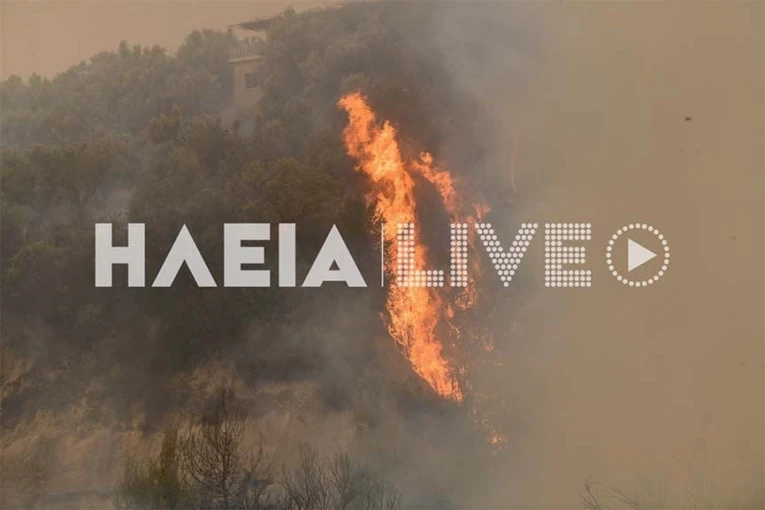 Πηγή: ilialive.gr Πηγή: ilialive.gr