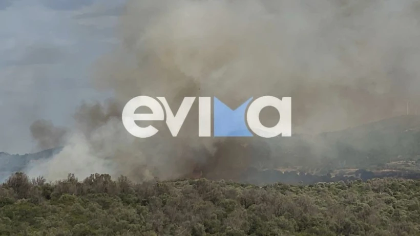 Πηγή: Eviavima.gr Πηγή: Eviavima.gr