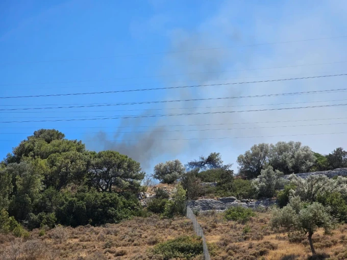 Φωτό Γιάννης Κέμμος Φωτό Γιάννης Κέμμος