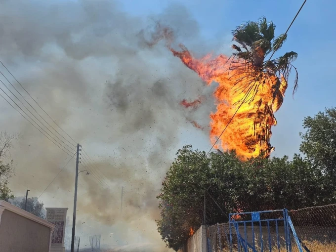 fire-varis-kemmos.jpg fire-varis-kemmos.jpg
