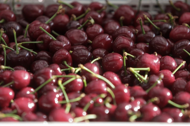 Φωτ. Αρχείου Eurokinissi