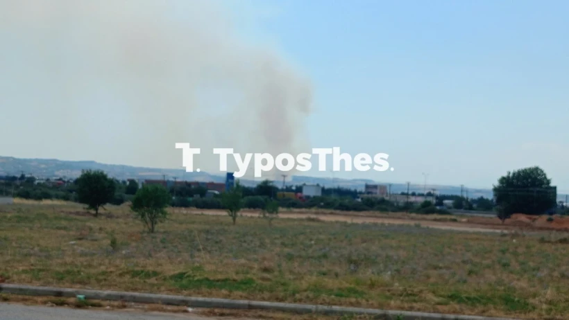 Φωτιά στον Τρίλοφο Θεσσαλονίκης/Typosthes Φωτιά στον Τρίλοφο Θεσσαλονίκης/Typosthes
