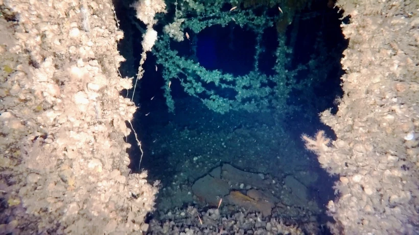 29046371.jpg?v=0 29046371.jpg?v=0