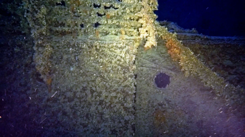 29046383.jpg?v=0 29046383.jpg?v=0